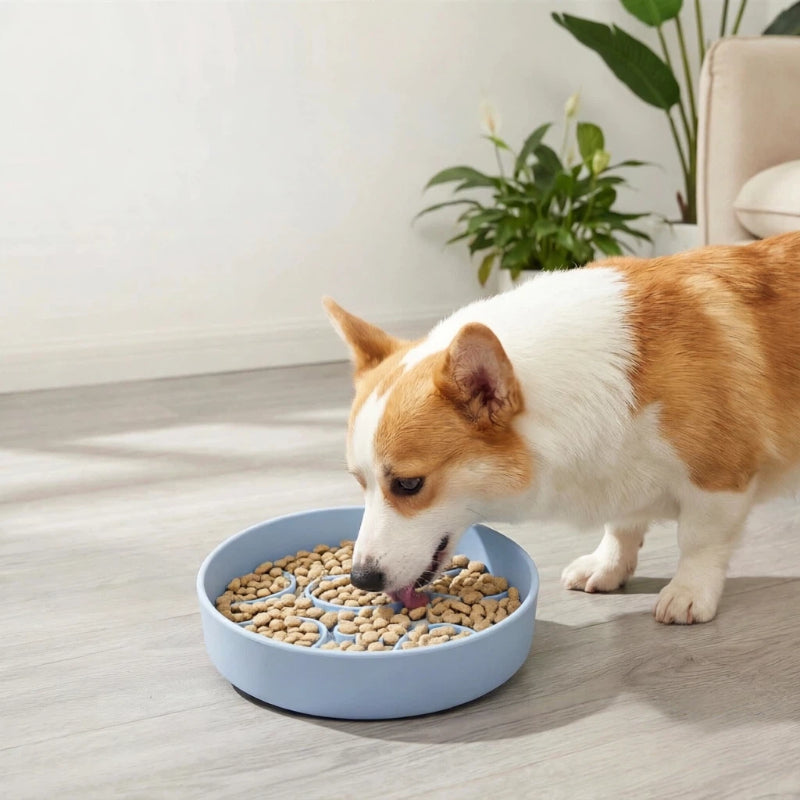 Pet Slow Feeder Bowl with Suction Base | Silicone Slow Feeding Bowl for Dogs & Cats