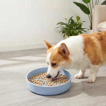 Pet Slow Feeder Bowl with Suction Base | Silicone Slow Feeding Bowl for Dogs & Cats