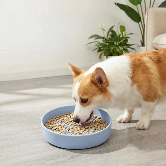 Pet Slow Feeder Bowl with Suction Base | Silicone Slow Feeding Bowl for Dogs & Cats