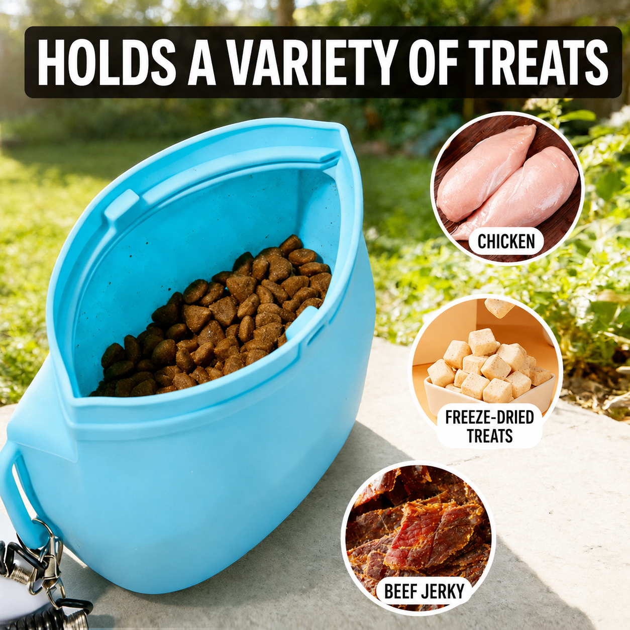 Silicone Pet Training Treat Pouch with Magnetic Closure